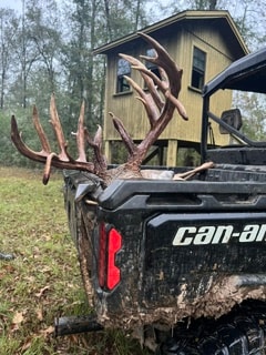 Trophy whitetail hunt